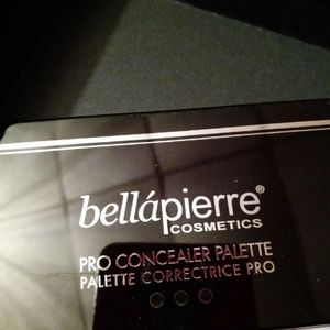 Bellapierre pro concealer palette